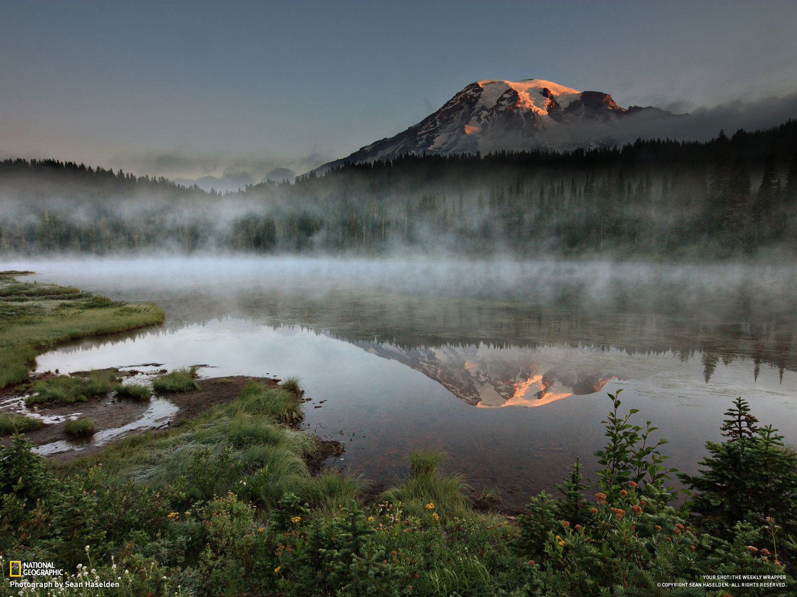 Mount Rainier, Seattle, Washington