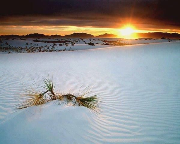 Desert of White Sands, New Mexico